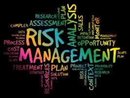 Risk Management word cloud, business concept